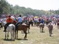 Fiestas de San Juan 2007 - Jueves la Saca