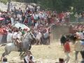 Fiestas de San Juan 2007 - Jueves la Saca