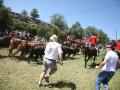 Fiestas de San Juan 2007 - Jueves la Saca