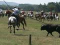 Fiestas de San Juan 2007 - Jueves la Saca