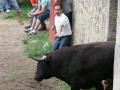 Fiestas de San Juan 2007 - Lavalenguas