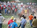 Fiestas de San Juan 2007 - Lavalenguas