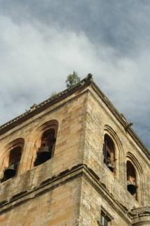 DETALLE TORRE