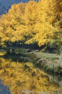 Márgenes del Río en Otoño