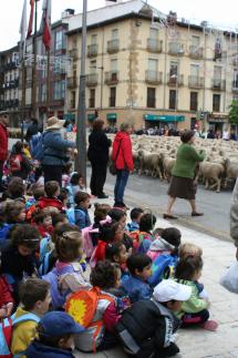 La trashumancia vuelve a las calles de Soria de la mano del Plan Turístico de Tierras Altas