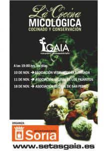 El Ayuntamiento organiza tres talleres sobre “Cocina micológica, cocinado y conservación”