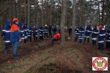 Los Bomberos de Soria participan en un curso de corte con motosierras