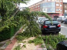 Un rayo cae sobre un árbol del centro de la ciudad sin causar daños personales