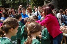 Los prebenjamines, benjamines y alevines recogen esta mañana los trofeos de los Juegos Escolares