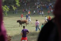 Las Cuadrillas ya tienen sus toros para Valonsadero y la plaza 