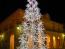 Mañana viernes se volverán a poner a la venta los árboles de Navidad del Ayuntamiento